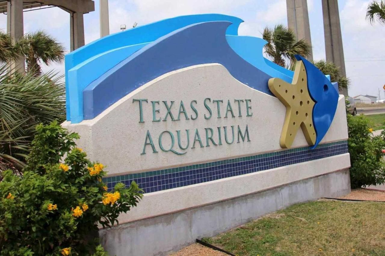 Corpus Christi Condo With Pool Access, Walk To Beach Exterior foto